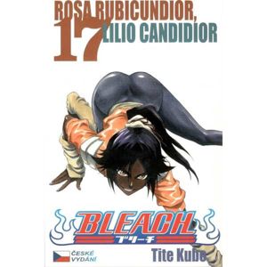 Bleach 17 komiks