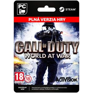 Call of Duty: World at War [Steam]
