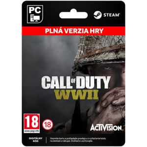 Call of Duty: WW2 [Steam]