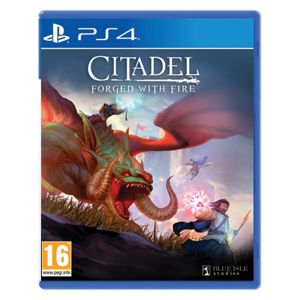 Citadel: Forged with Fire PS4