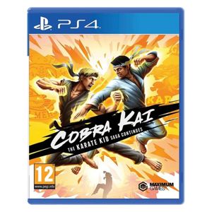 Cobra Kai: The Karate Kid Saga Continues PS4