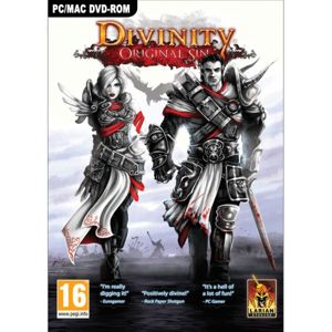 Divinity: Original Sin PC