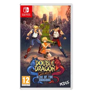 Double Dragon Gaiden: Rise of the Dragons NSW