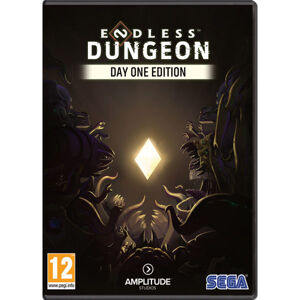 Endless Dungeon (Day One Edition) PC