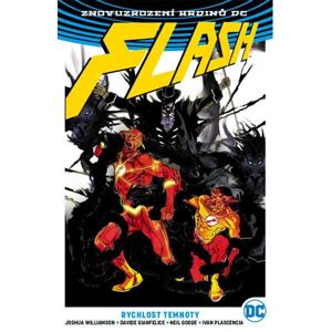 Flash 2: Rychlost temnoty (Znovuzrození hrdinů DC) komiks