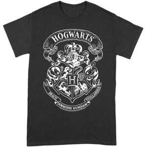Hogwarts Crest T Shirt (Harry Potter) XL TS023HP-XL
