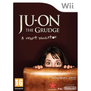 Ju-On: The Grudge Wii