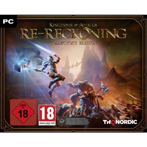 Kingdoms of Amalur Re-Reckoning (Collector's Edition) PC