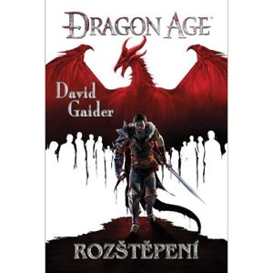 Kniha Dragon Age: Rozštěpení fantasy