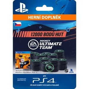 NHL 19 Ultimate Team - 12000 Hockey Points CZ