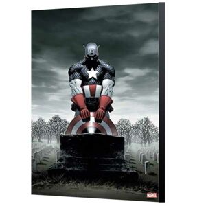 Obraz na plátne Avengers Collection Captain America: Hail Hydra 2 (Marvel) SMAG016S