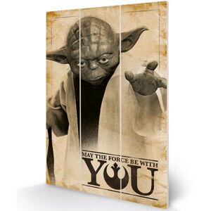 Obraz Wood Print Yoda May The Force (Star Wars) MW11809P