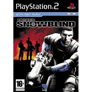 Project: Snowblind PS2
