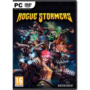 Rogue Stormers PC