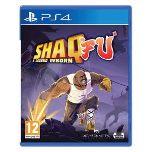 Shaq-Fu: A Legend Reborn PS4
