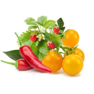 Click and Grow mix ovocia & zeleniny PCW-082