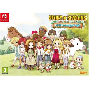 Story of Seasons: A Wonderful Life (Limited Edition) NSW