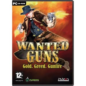 Wanted Guns PC