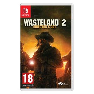 Wasteland 2 (Director’s Cut) NSW